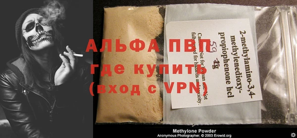 дживик Ельня
