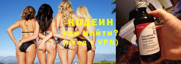 дживик Ельня