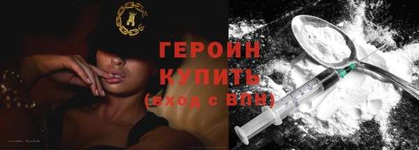 дживик Ельня