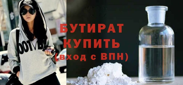 дживик Ельня