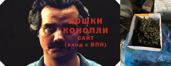 дживик Ельня