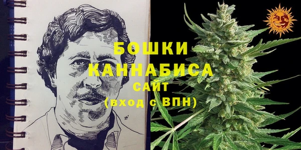 дживик Ельня