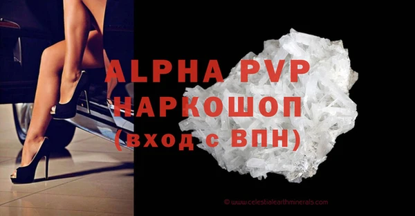 дживик Ельня