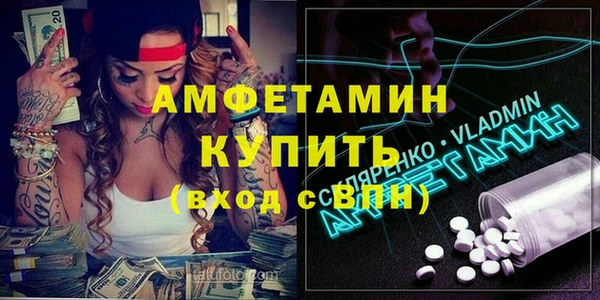 дживик Ельня