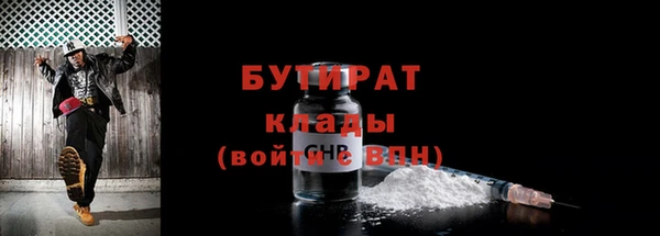дживик Ельня