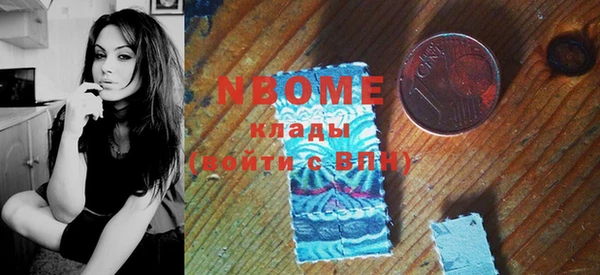 дживик Ельня