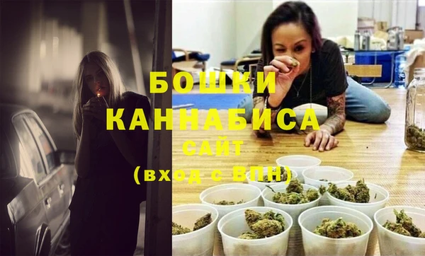 дживик Ельня