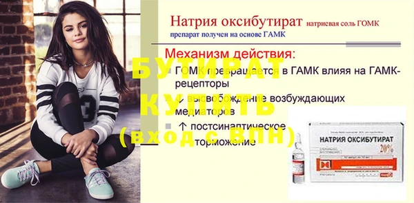 дживик Ельня