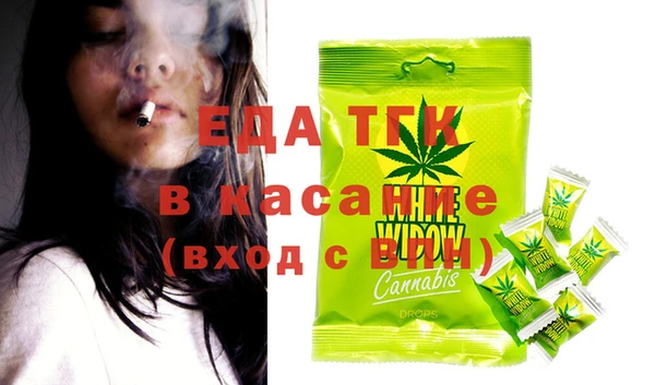 дживик Ельня