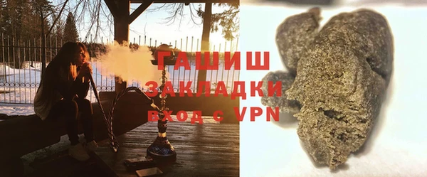 дживик Ельня
