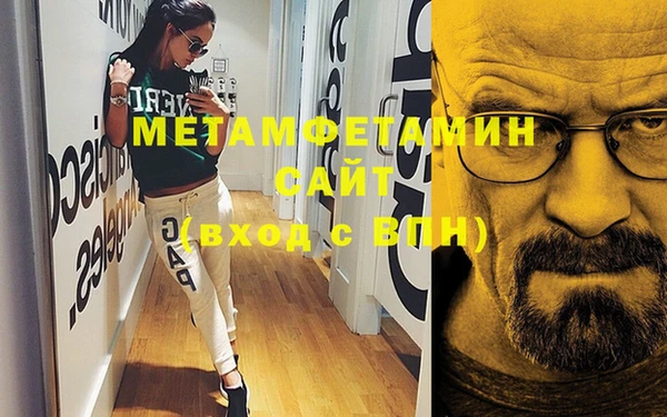 дживик Ельня