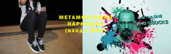дживик Ельня